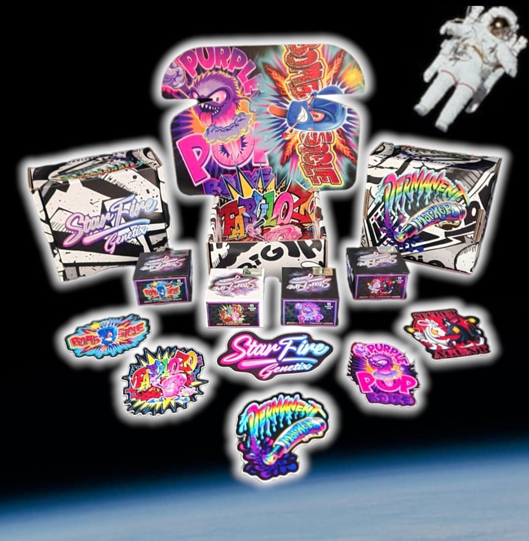 PERMANENT MARKER BOX SET(FEMS)