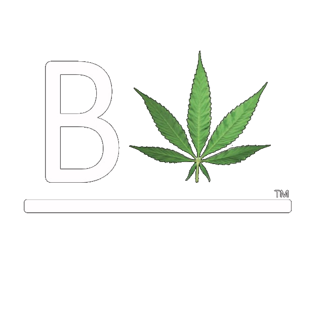 Odo Baggins R1 Feminized Cannabis Seeds By Beleaf Cannabis