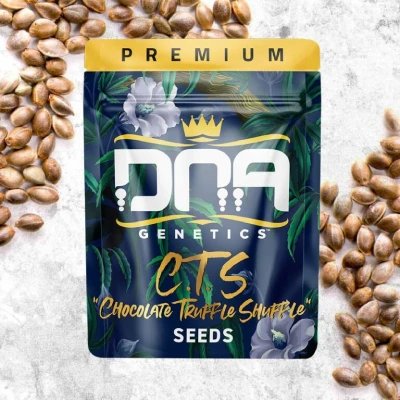 GPK x Chocolope Kush (Gorilla Glue x Pure Kush) Regular Cannabis Seeds By DNA GENETICS