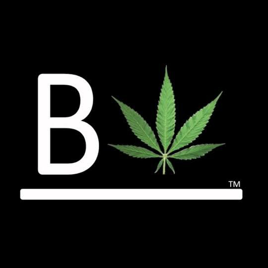 Big Boom Theory from Beleaf Cannabis feminized seeds